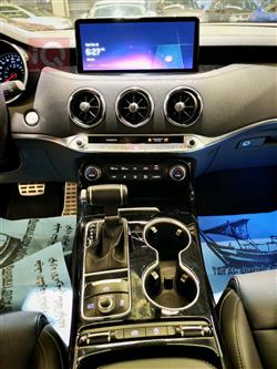 کیا ستینگەر